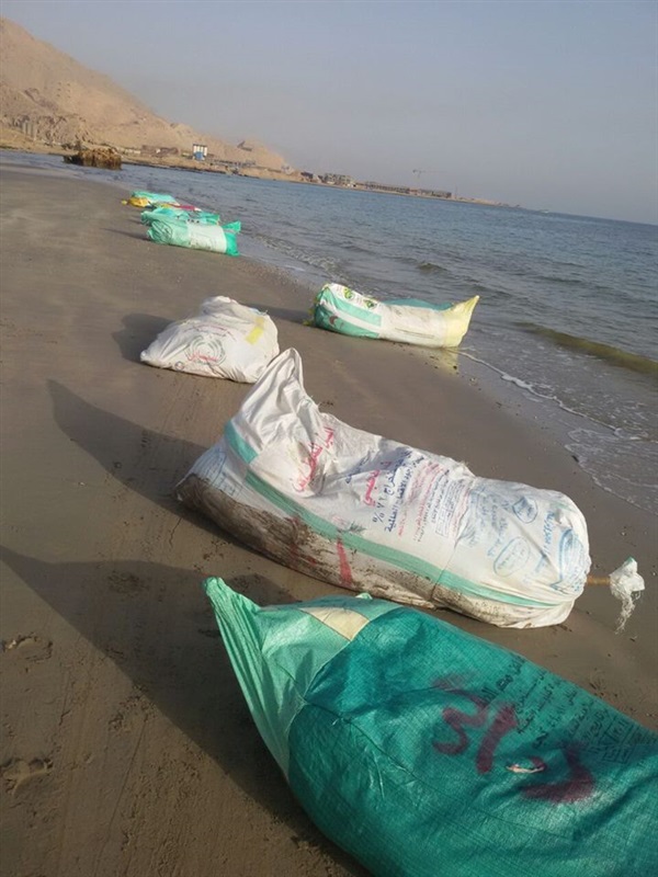 شاهد| القوات المسلحة تضبط 21 مزرعة خشخاش و6634 كيلو بانجو