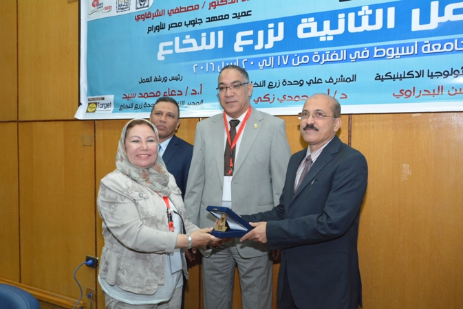 بالصور.. جامعة أسيوط تنظم ورشة العمل الثانية لـ «زرع النخاع»