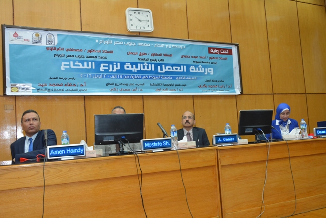 بالصور.. جامعة أسيوط تنظم ورشة العمل الثانية لـ «زرع النخاع»