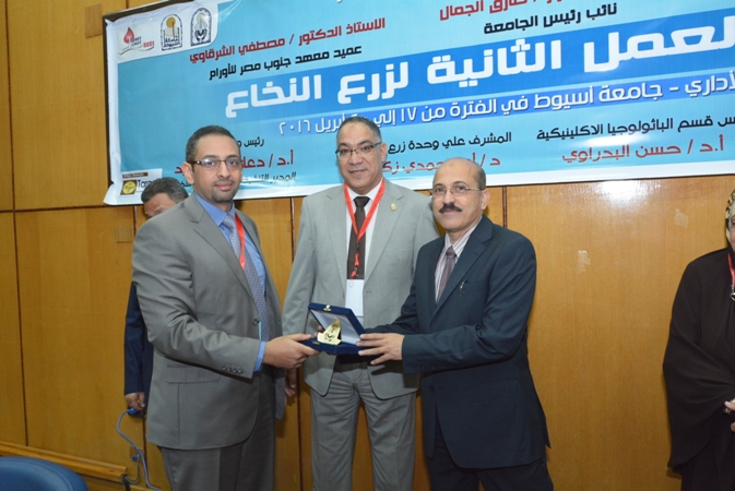 بالصور.. جامعة أسيوط تنظم ورشة العمل الثانية لـ «زرع النخاع»