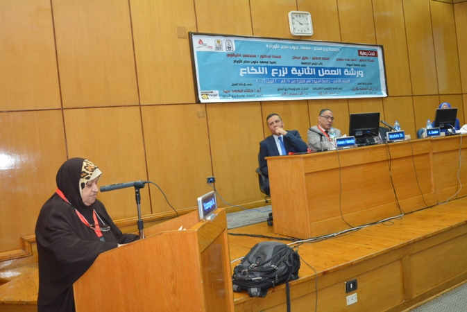 بالصور.. جامعة أسيوط تنظم ورشة العمل الثانية لـ «زرع النخاع»