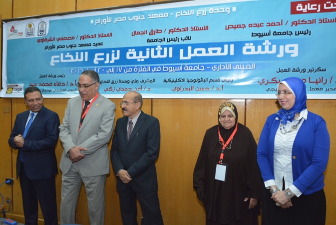 بالصور.. جامعة أسيوط تنظم ورشة العمل الثانية لـ «زرع النخاع»