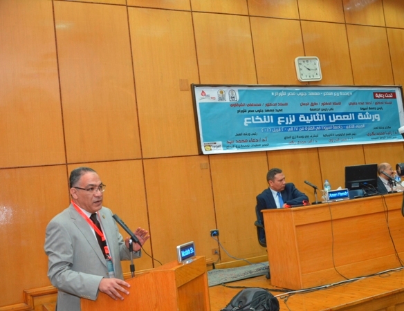 بالصور.. جامعة أسيوط تنظم ورشة العمل الثانية لـ «زرع النخاع»