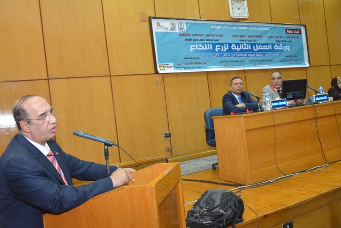 بالصور.. جامعة أسيوط تنظم ورشة العمل الثانية لـ «زرع النخاع»