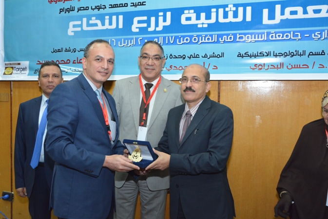 بالصور.. جامعة أسيوط تنظم ورشة العمل الثانية لـ «زرع النخاع»