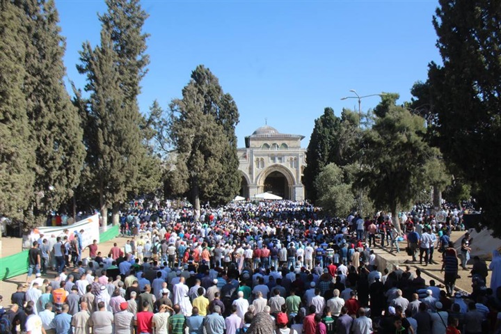 بالفيديو والصور.. 400 ألف مصلي يحيون ليلة القدر في المسجد الأقصى