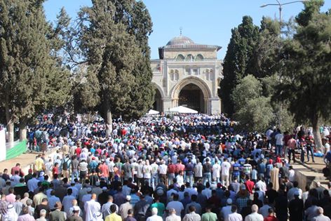 بالفيديو والصور.. 400 ألف مصلي يحيون ليلة القدر في المسجد الأقصى