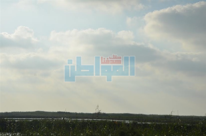 محافظ كفر الشيخ: "مستأجرو المزارع السمكية" يسددون 318 مليون جنيه 