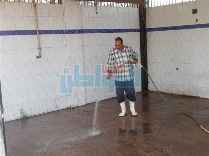 بالصور.."مجازر كفر الشيخ" تستعد لعيد الفطر المبارك