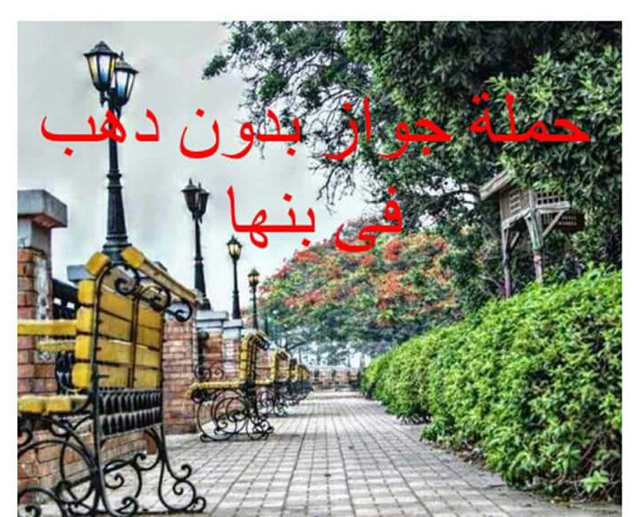 بالصور.. حملة لإلغاء الشبكة بالقليوبية
