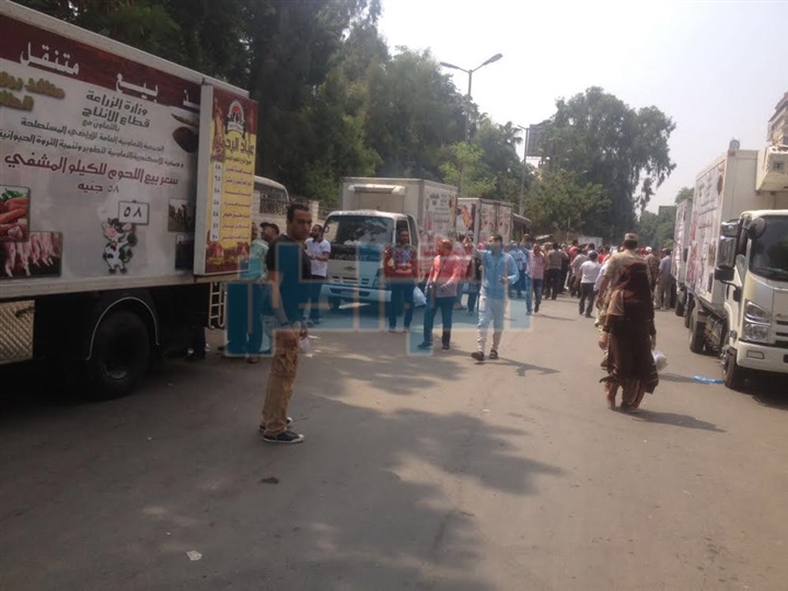 وزير الزراعة يطلق حملة لتخفيض أسعار اللحوم الطازجة بـ58 جنيه للكيلو