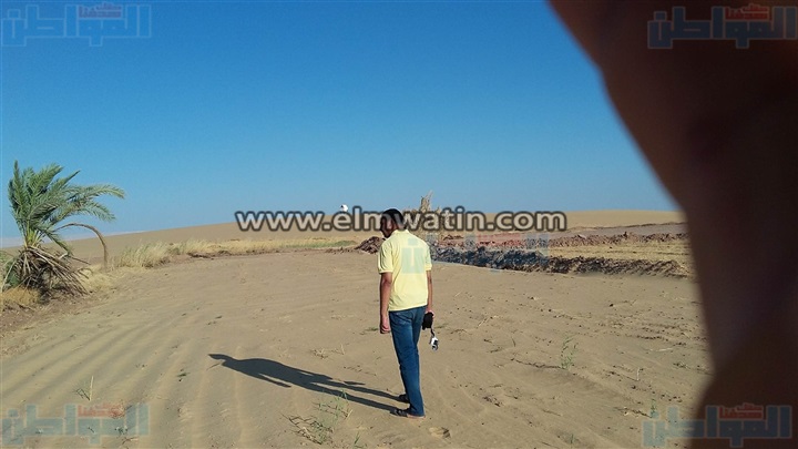 بالفيديو والصور.. "صيد الصقور" سبوبة شباب الخارجة للقضاء على البطالة.. شئون البيئة بالمحافظات تجرم النشاط.. الصيادون يضربون بالدستور عرض الحائط.. ومسئول:"سيتم محاسبة من يتم ضبطه بالقانون"