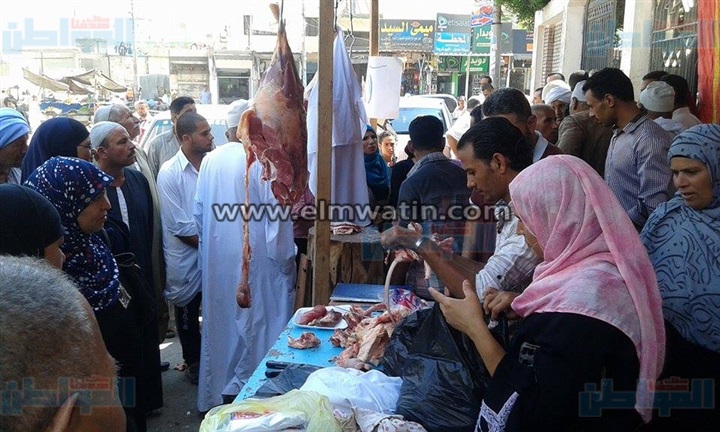 محافظ البحيرة: فتح منافذ جديدة لبيع اللحوم بأسعار مخفضة 