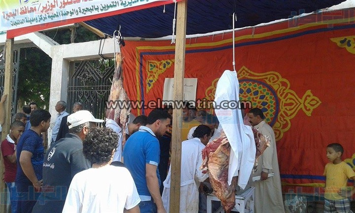 ننشر عناوين منافذ بيع اللحوم بالأسعار المخفضة بمحافظة البحيرة