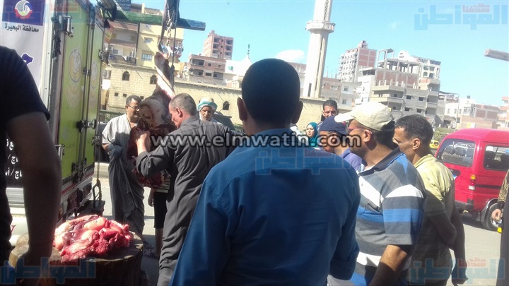 ننشر عناوين منافذ بيع اللحوم بالأسعار المخفضة بمحافظة البحيرة