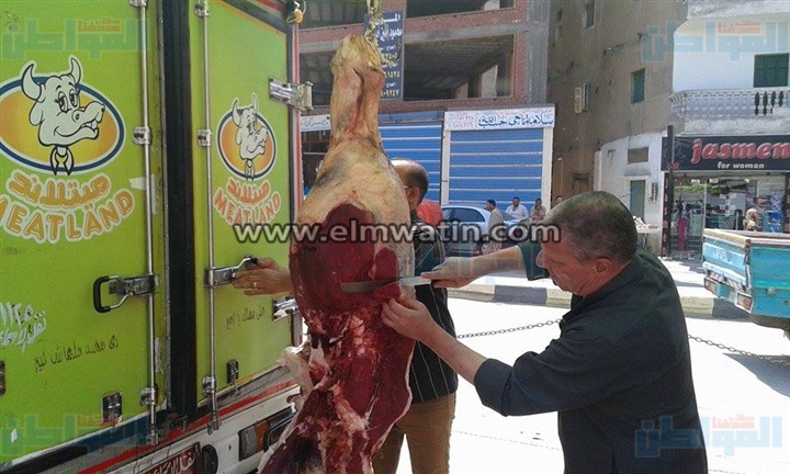 ننشر عناوين منافذ بيع اللحوم بالأسعار المخفضة بمحافظة البحيرة