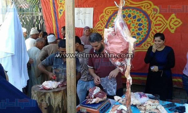 بالصور.. تموين البحيرة توفر 13 عجلًا بسعر 61 جنيهًا للكيلو 