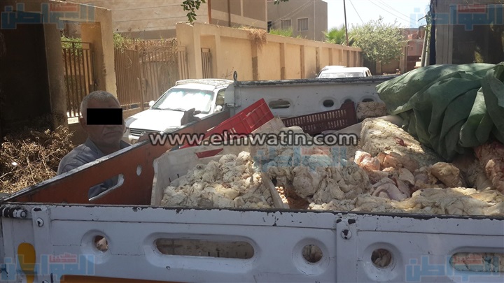 بالصور.. ضبط 1200 كيلو لحوم ودهون غير صالحة بالفيوم