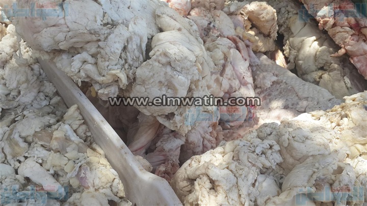 بالصور.. ضبط 1200 كيلو لحوم ودهون غير صالحة بالفيوم