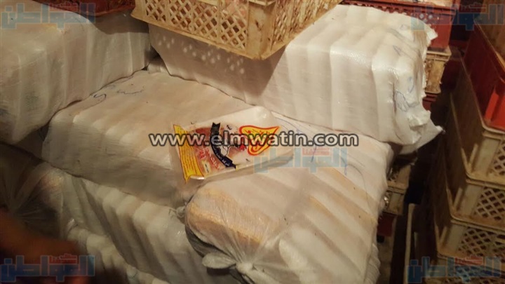 بالصور.. ضبط 3 طن فراخ غير صالحة للإستخدام الآدامي بالإسكندرية