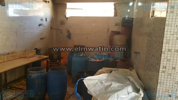 بالصور.. ضبط 3 طن فراخ غير صالحة للإستخدام الآدامي بالإسكندرية