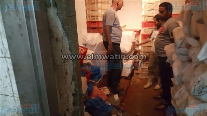 بالصور.. ضبط 3 طن فراخ غير صالحة للإستخدام الآدامي بالإسكندرية