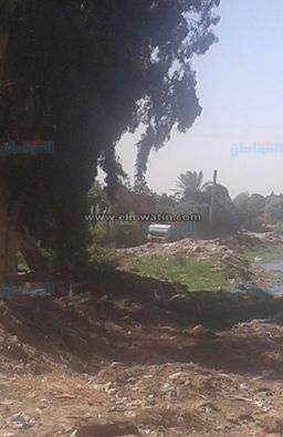 بالصور.. كارثة صحية تهدد قرية «السبع آبار» بالإسماعيلية.. الأهالي: محرومون من الصرف الصحي ونعيش على كسح الجرارات.. المسئولون اكتفوا بالمعاينة.. ورئيس القرية: تكلفة إنشاء المحطة 70 مليونا