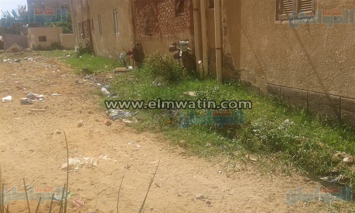 بالصور.. كارثة صحية تهدد قرية «السبع آبار» بالإسماعيلية.. الأهالي: محرومون من الصرف الصحي ونعيش على كسح الجرارات.. المسئولون اكتفوا بالمعاينة.. ورئيس القرية: تكلفة إنشاء المحطة 70 مليونا