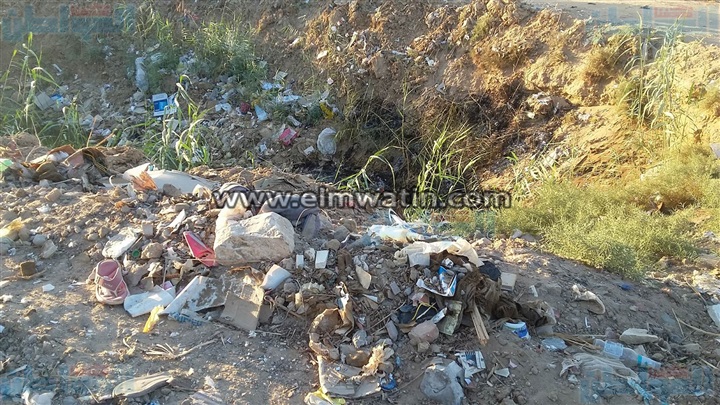 بالفيديو.. أهالي «الخارجة» يستغيثون من تراكم القمامة بمصرف زراعي بالوادى الجديد 