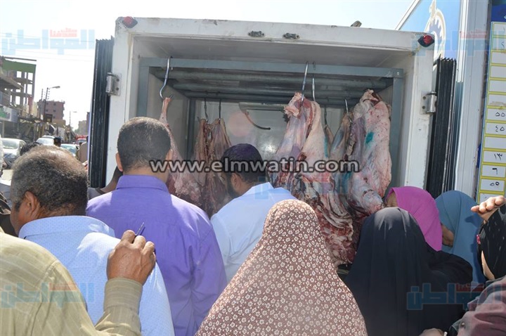 بالصور.. محافظ الوادى الجديد يتفقد منفذ بيع اللحوم بأسعار مخفضة