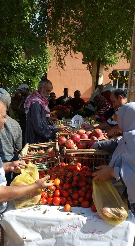 بالصور.. "الخارجة" يواصل بيع السلع الغذائية بأسعار مخفضة