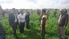 ننشر صور تمثيل جريمة قتل مزارع لشقيقه بالبحيرة