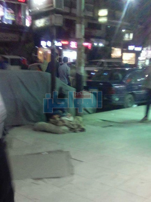 بالصور.. طفل يتقاسم طعامه مع "قطة" بالإسكندرية