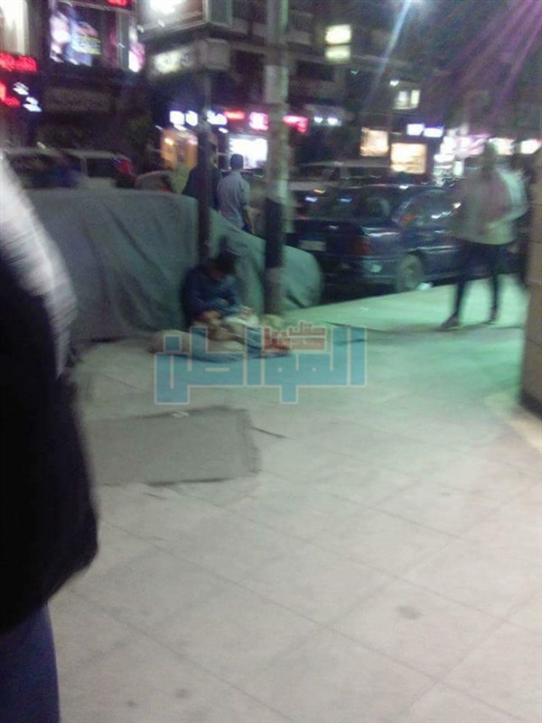 بالصور.. طفل يتقاسم طعامه مع "قطة" بالإسكندرية
