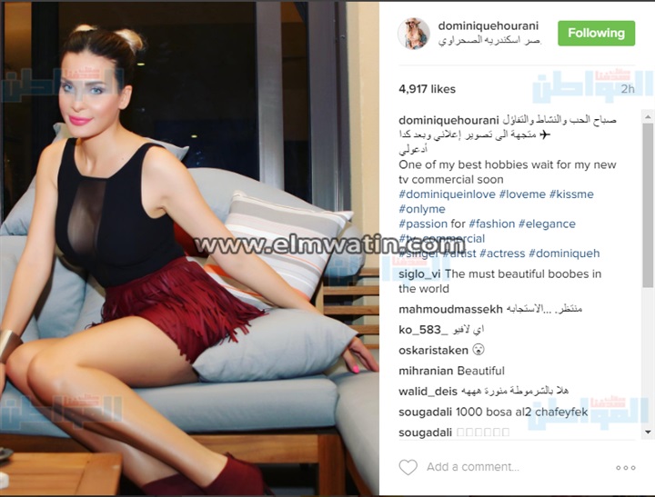 دومينيك حوراني تكشف لـ"جمهورها" أعمالها المقبلة