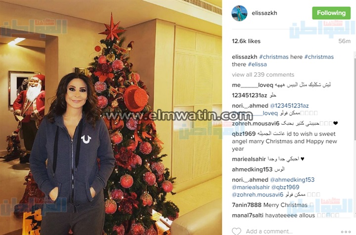 إليسا تحتفل بـ"الكريسماس" على طريقتها الخاصة
