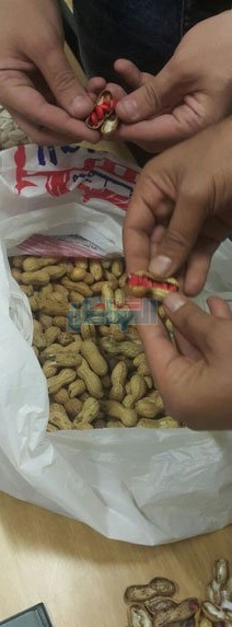 مطار برج العرب يحبط محاولة تهريب "ترامادول" بالفول السوداني