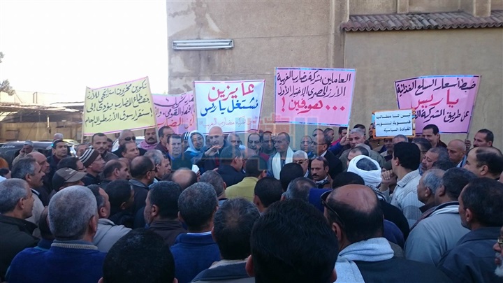 بالصور.. وقفة احتجاجية للعاملين بـ"مضارب المحلة" لتوقفها عن العمل