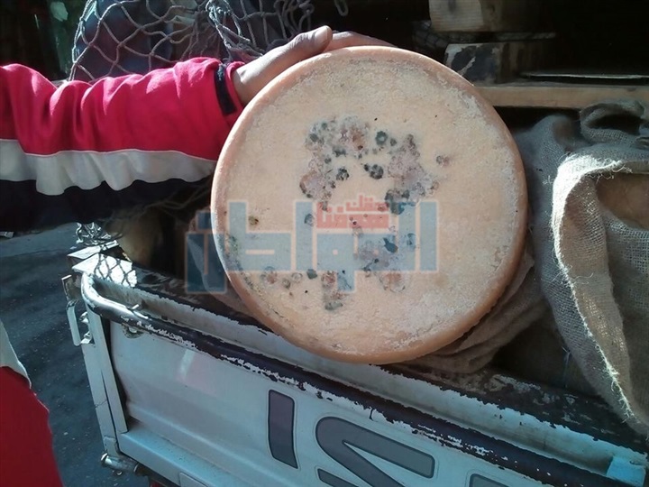 بالصور.. ضبط طن و250 كيلو جبن رومي فاسد بالإسماعيلية