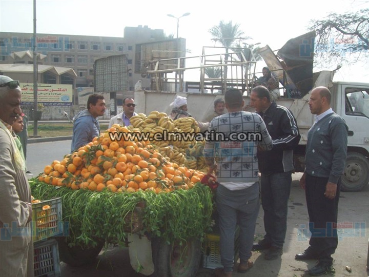 بالصور.. حملة لرفع الإشغالات في حلوان