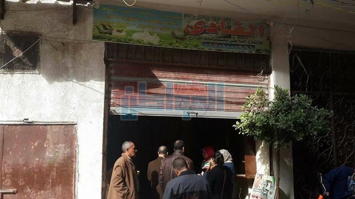 بالصور.. حملة لإغلاق وتشميع المراكز البيطرية المخالفة بالإسكندرية