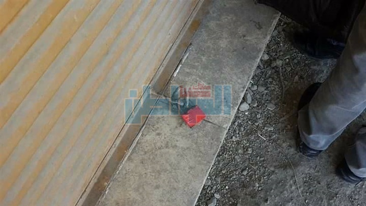 بالصور.. حملة لإغلاق وتشميع المراكز البيطرية المخالفة بالإسكندرية
