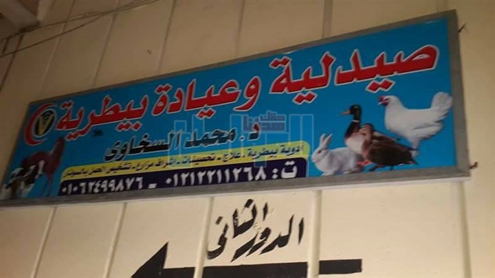 بالصور.. حملة لإغلاق وتشميع المراكز البيطرية المخالفة بالإسكندرية