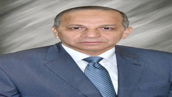 محافظة الوادى الجديد