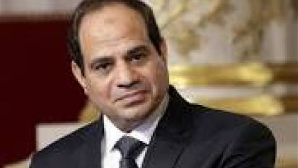 برلماني: لقاء السيسي