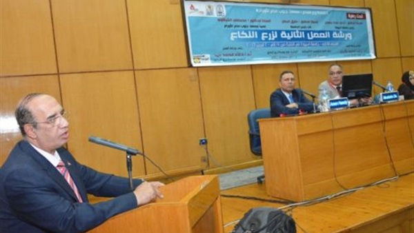 بالصور.. جامعة أسيوط