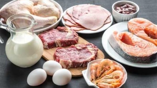 5أطعمة تمد الجسم