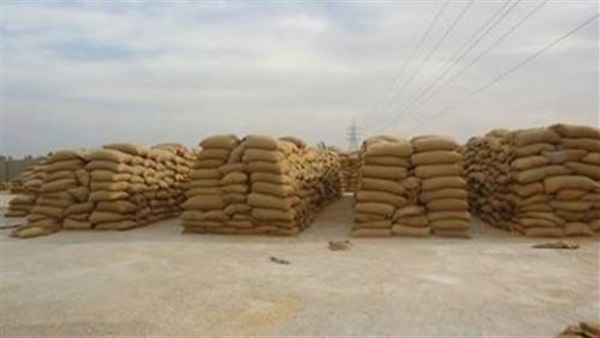 بالأرقام الوادي الجديد