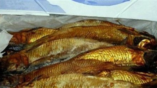 ضبط 315 طن رنجة فاسدة