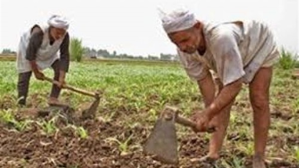 معاناة الفلاحين بالوادي